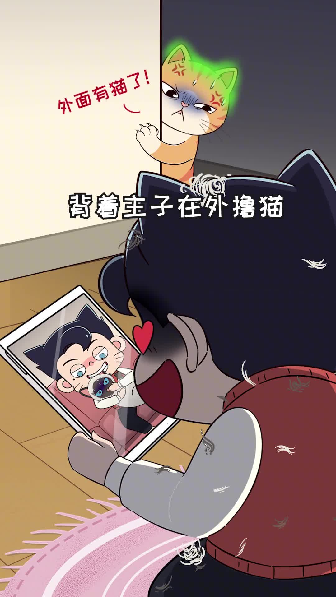 主子发现你有外猫会发生什么