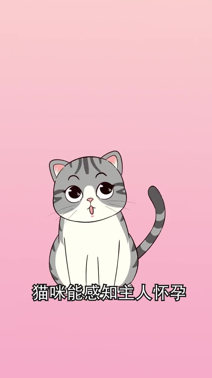 猫咪能感知你怀孕而且它是家里第一个知道的