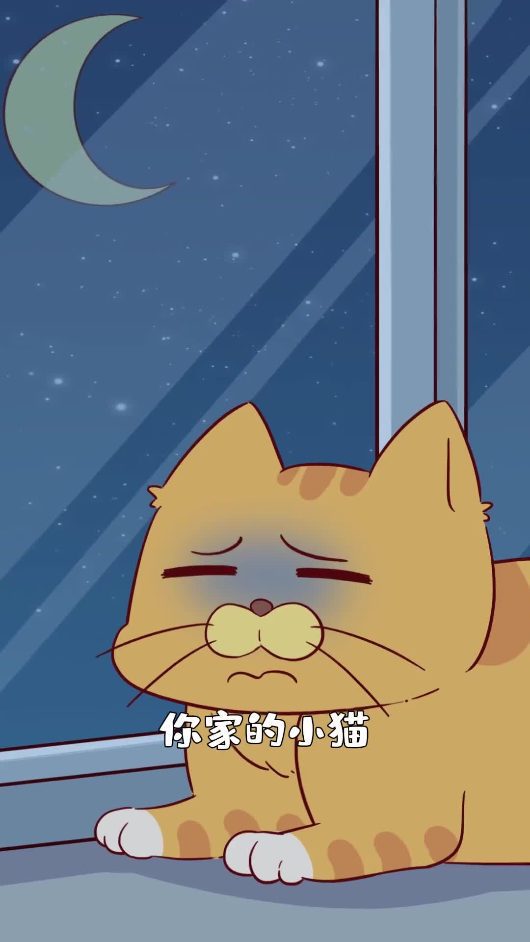 性格高冷的小猫其实背地里天天哭泣