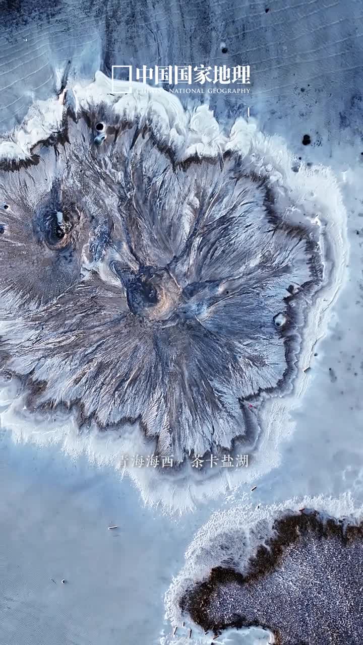盛开在盐湖上的大地之花一眼惊艳在青海的茶卡盐湖有一种神奇的盐湖景观广阔的盐壳之上自然之力留下细致的纹理从高空俯瞰宛如一朵朵竞相绽放的花
