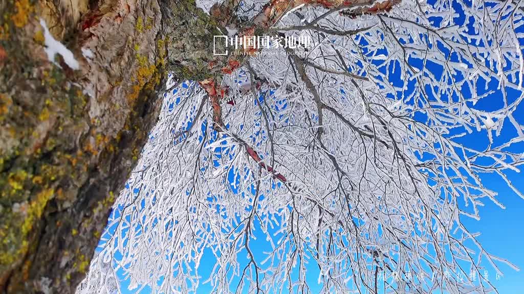 等你邂逅一场那拉提的雪