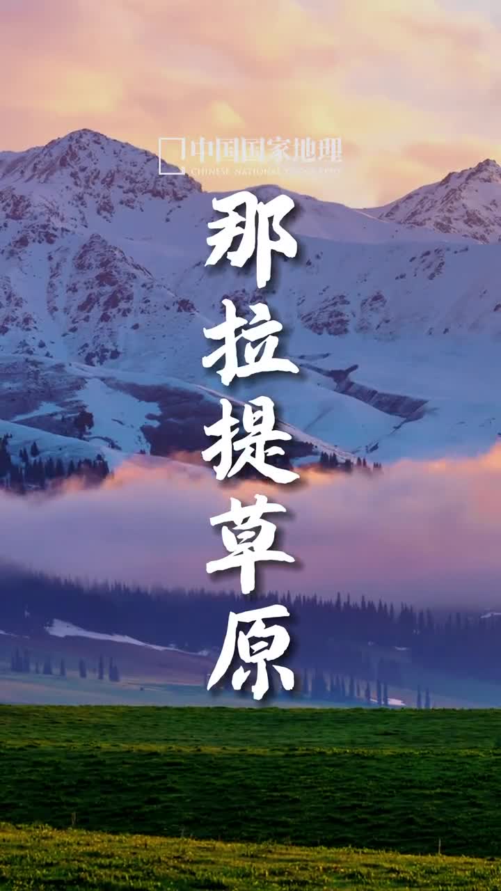 被好风景收买剩下的全是好心情