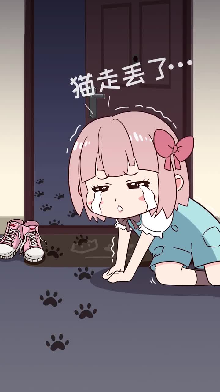 猫咪走丢了可以这样找提高找回的可能性