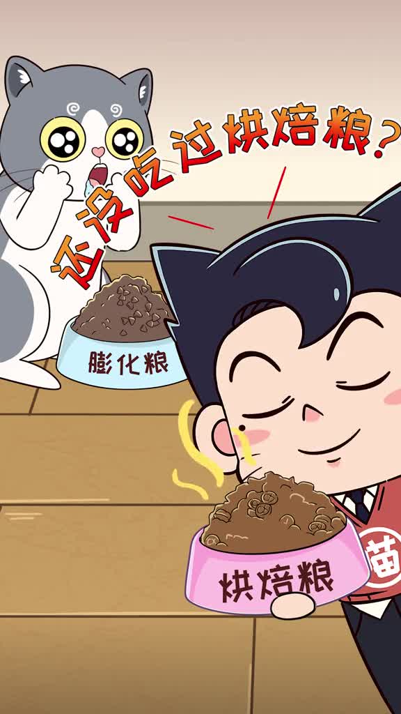 同价位的猫粮低温烘焙粮比高温膨化粮更出色你还没给主子吃过吗