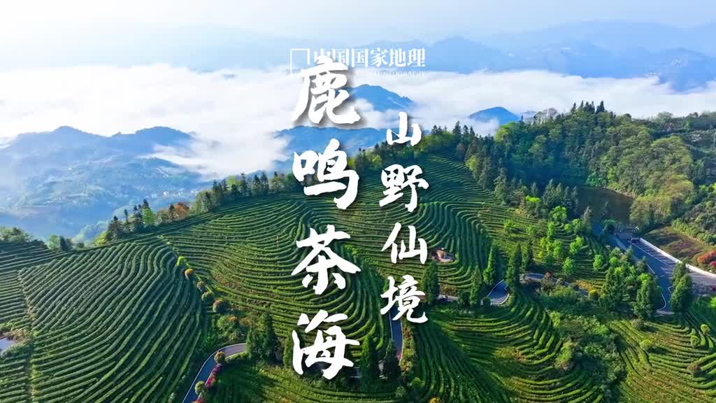 赴一场高山上的春茶之旅鹿鸣茶海位于四川宜宾的川云山巅这里是久负盛名的鹿鸣贡茶的出产地茶山高地空气氤氲溪涧纵横有着诗经中呦呦鹿鸣般的清幽之美