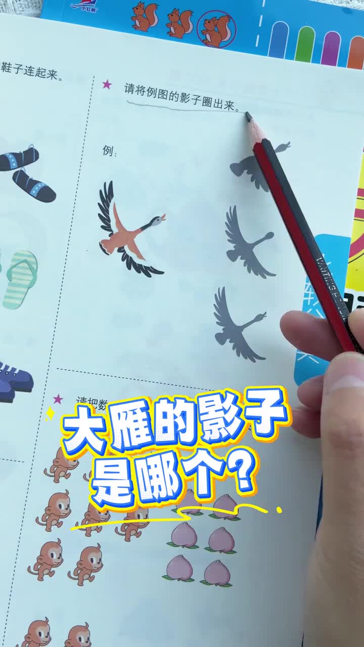 26岁幼儿园的孩子每天练习15分钟轻松提高逻辑思维观察力和专注力让大脑得到全面激发越玩越聪明