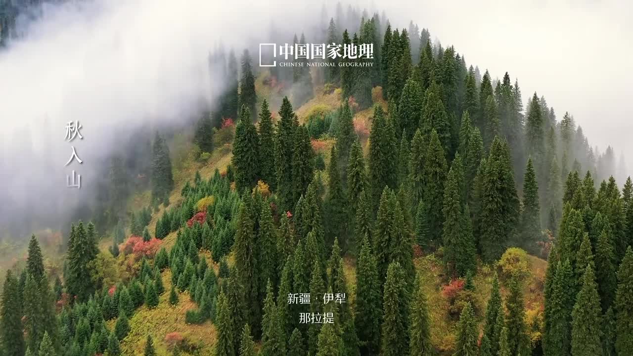 秋入山林物情潇洒时至白露随着冷空气转守为攻太阳直射点南移清凉已经不再是奢望昼夜温差逐渐增大寒生则露凝此时草木染露万物知秋天气轻寒正是天地逍遥的可人天