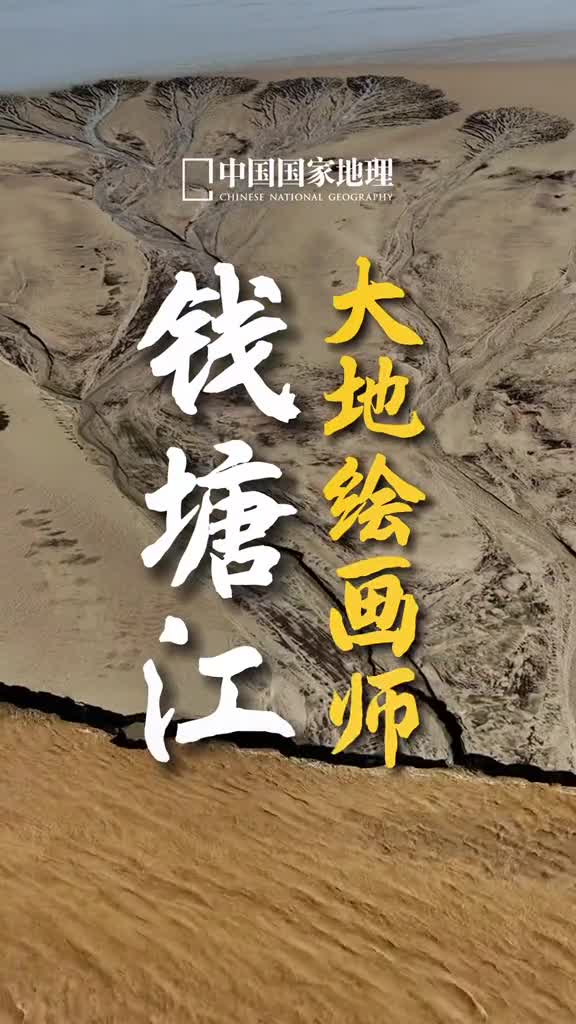 震撼钱塘江大潮退去大地上呈现出片片森林感叹大自然的鬼斧神工