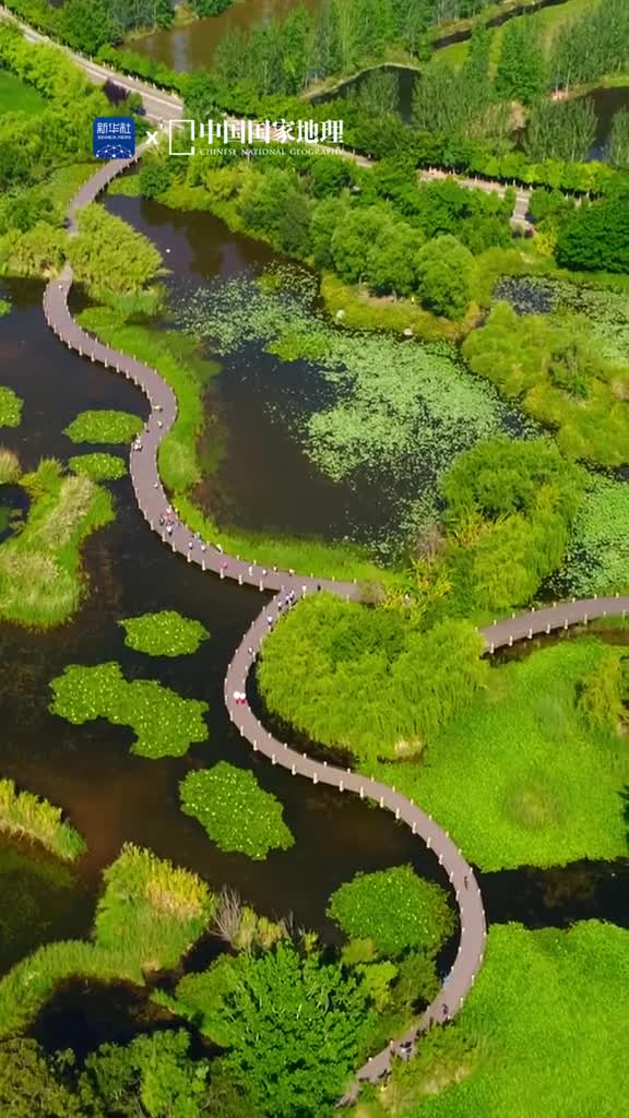 泸山邛海凉山西昌的苍山洱海梦里水乡梦寻花海梦回田园等大片湿地镶嵌在水域辽阔的邛海周边山光云影烟波浩渺醉人的田园风光让人回归闲适安逸的桃源生活