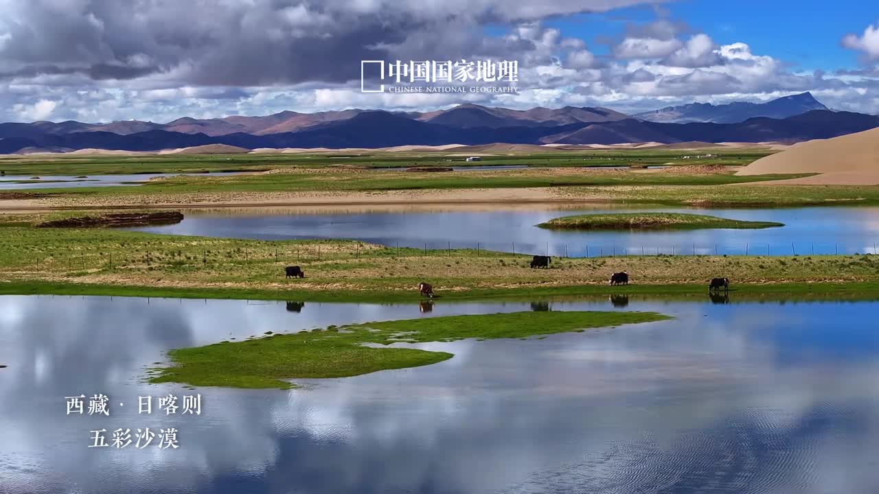 西藏还有多少不为人知的奇景五彩沙漠位于西藏日喀则的仲巴县金色的沙丘高高低低无比壮阔与绿色的草场波光粼粼的水域相映成辉清晨或是黄昏时刻霞光离合明暗冷暖色调相互渲染沙漠斑斓浓烈如梦似幻