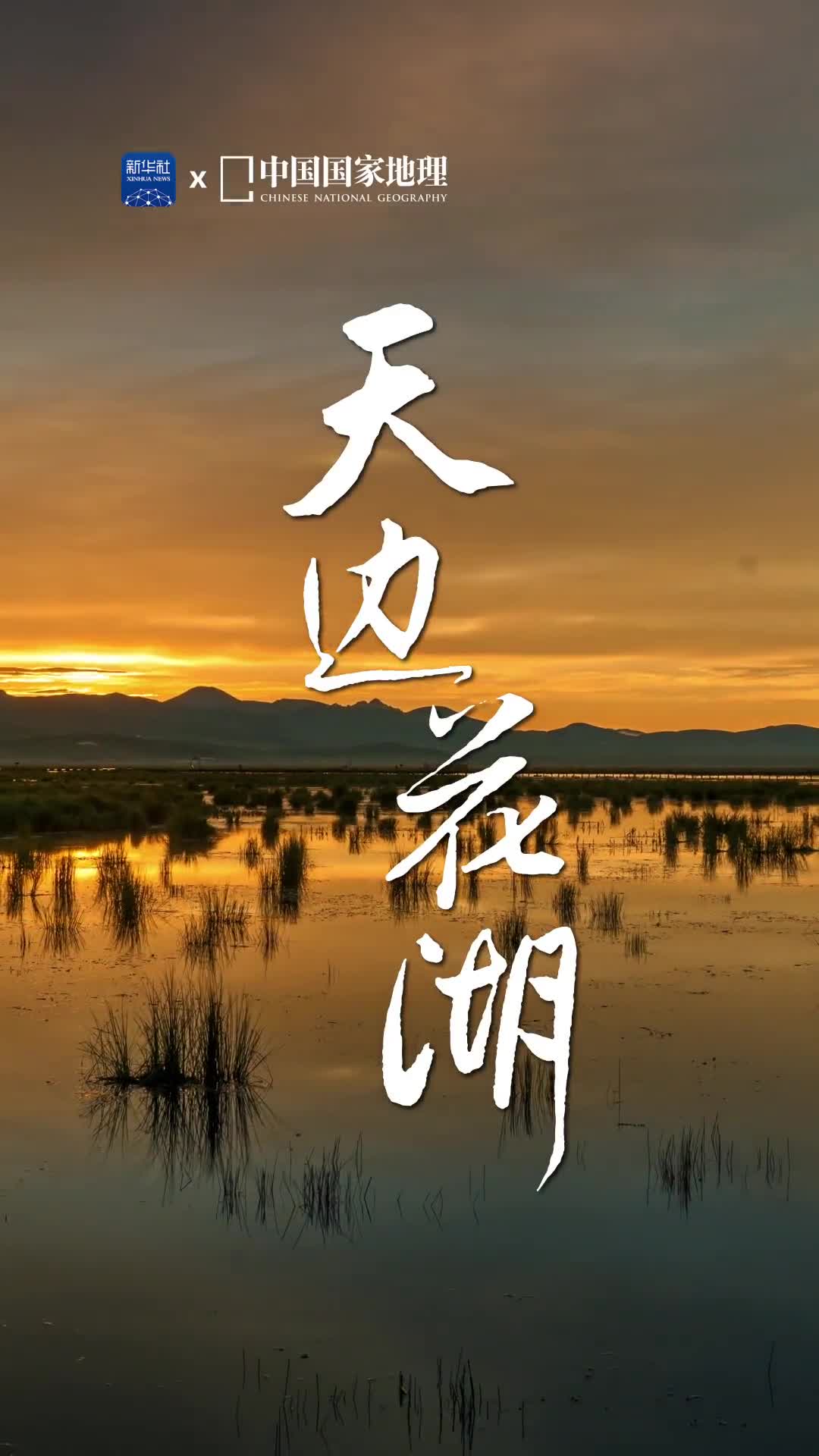 此湖只应天上有湿地面积广阔的若尔盖宛若镶嵌在青藏高原东缘的一块碧宝花湖则是若尔盖之美的精华所在湖中茂密的水草身姿舒展似乎要将天空的高远与白云的缱绻一并收入湖中回荡起独属于湿地天堂的浩渺与宁静