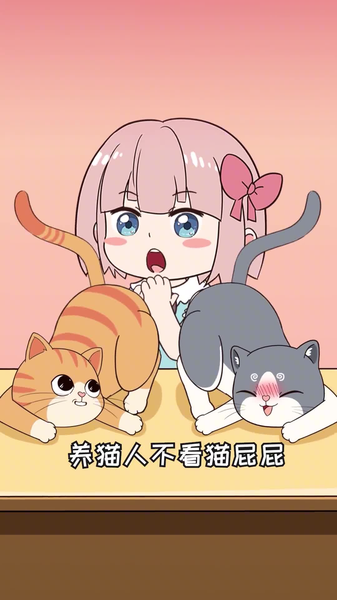 养猫人能一眼分公母吗