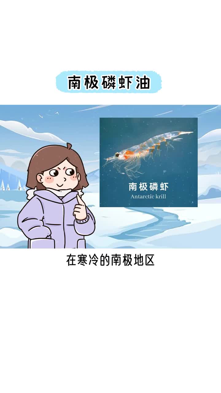 南极磷虾油和鱼油有什么不同