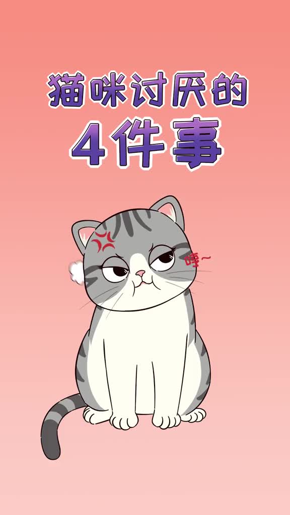 猫咪讨厌的四件事你做过吗小心猫咪记恨你哦