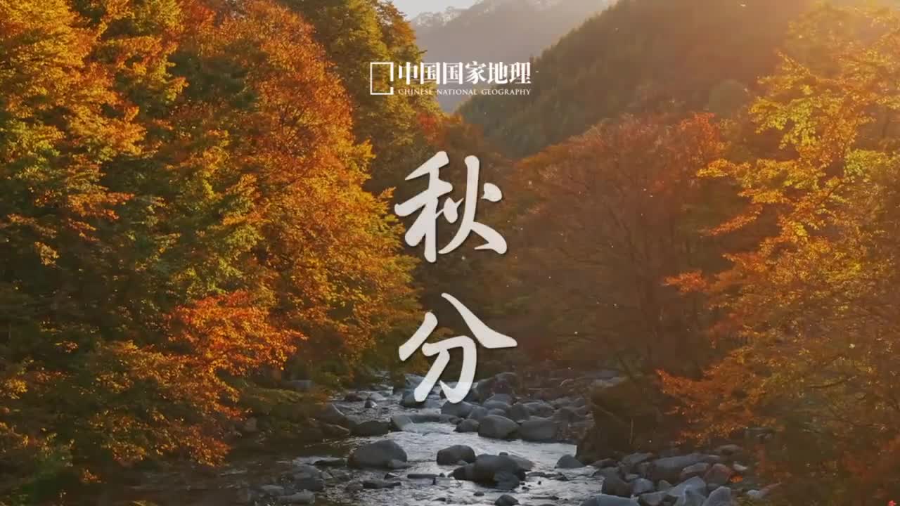 秋分寒暑相宜昼夜等长借一缕秋色与你平分生活的美好稻谷满仓云天叶落飒爽秋意将世界渲染成金日月天光均分万物平衡自洽人间半秋岁月无恙此刻恰如其分