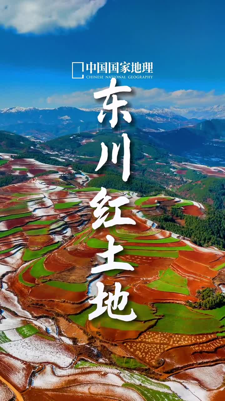 那里春光明媚阳光暖暖冬季的昆明到处是一片春意盎然