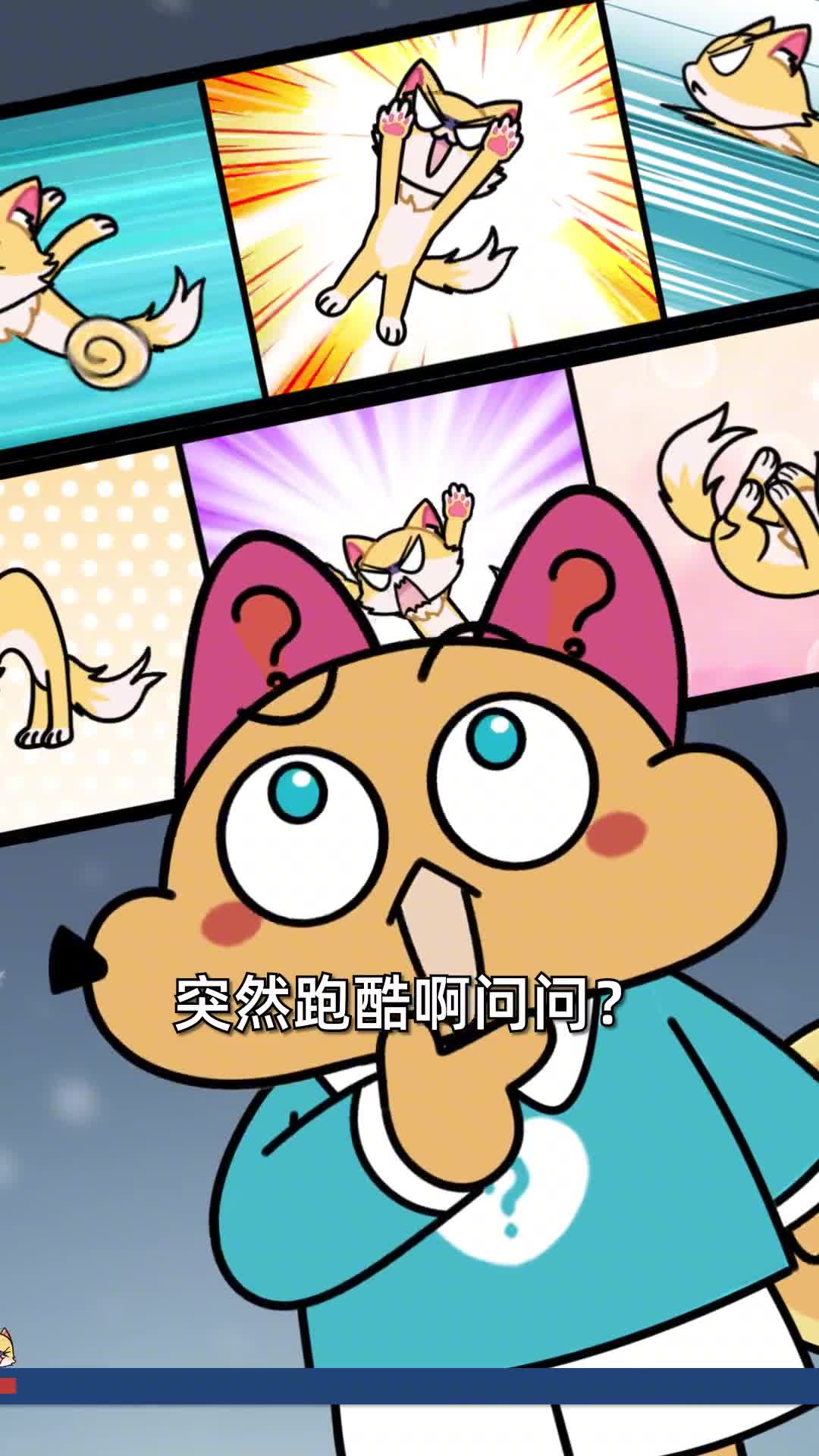 高冷小猫咪为啥会突然在家疯跑