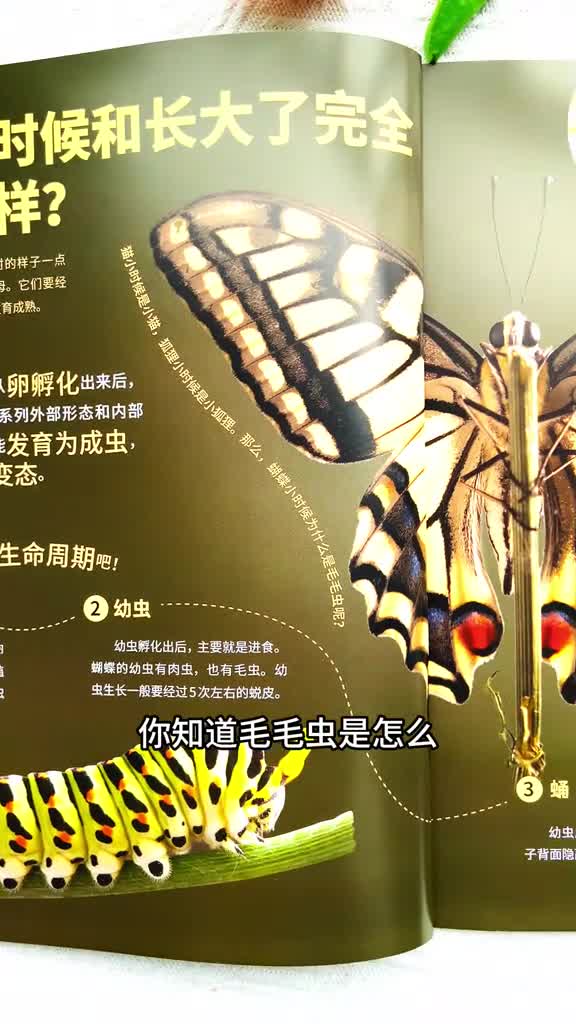 好奇少年儿童百科紧贴小学教材的百科全书六大主题孩子超爱看