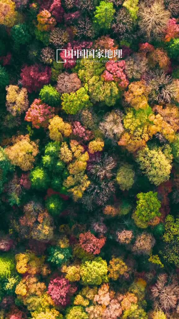 早安愿你遍历山河遇见美好今天是2024年11月12日甲辰年十月十二星期二生活不是为了赶路而是为了感受路步履不停行则将至早安愿你遍历山河遇见美好