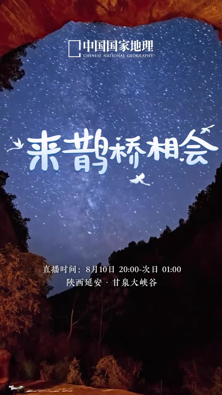 来吧鹊桥相会七月初七夜对夜话星河在浪漫的七夕节之夜来中国国家地理景观直播间任爱意降临沉浸式享受一场星空盛宴吧此刻整个宇宙为你璀璨8月10日20点我们不见不散
