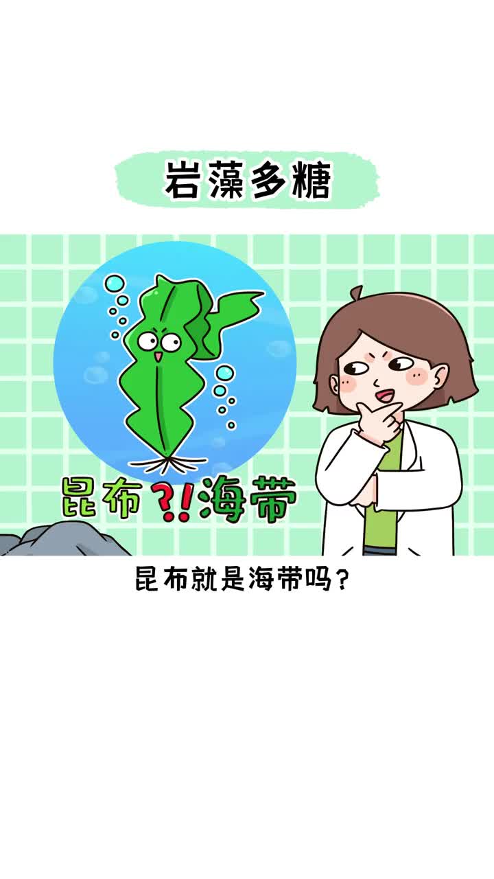 昆布海带岩藻多糖