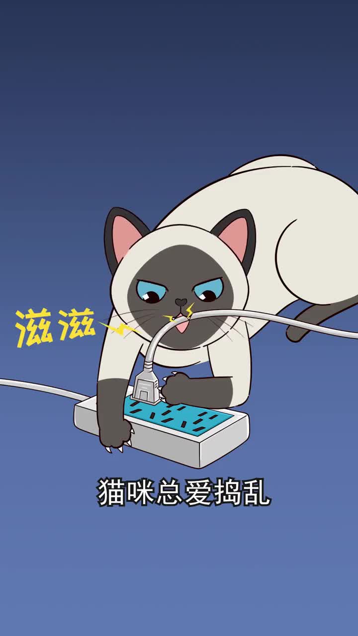 猫咪犯错后可以这样惩罚它别养成坏习惯可就麻烦了