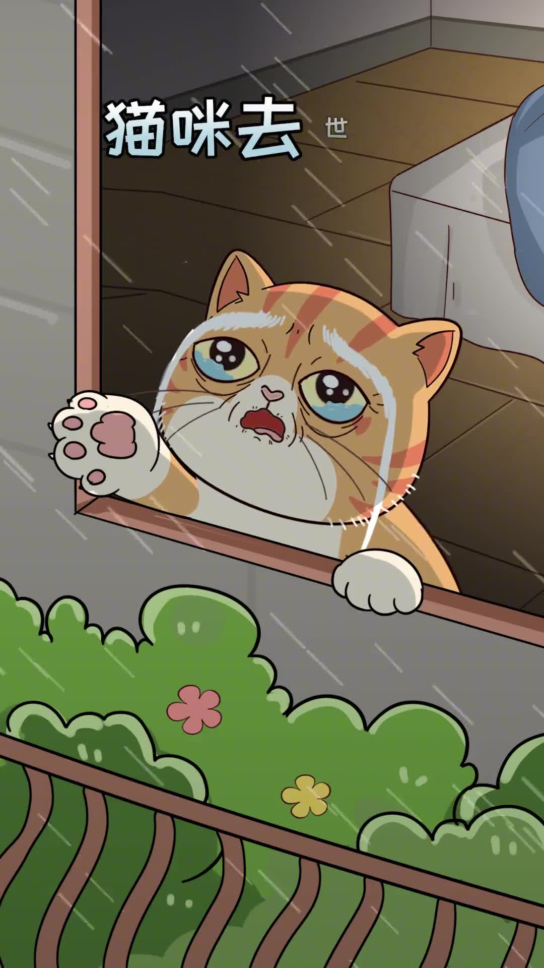 猫咪去世前最放心不下的就是你呀