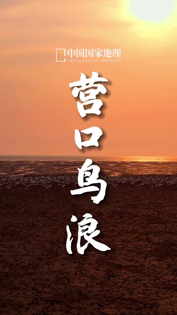 新的一周新的开始早安朋友们