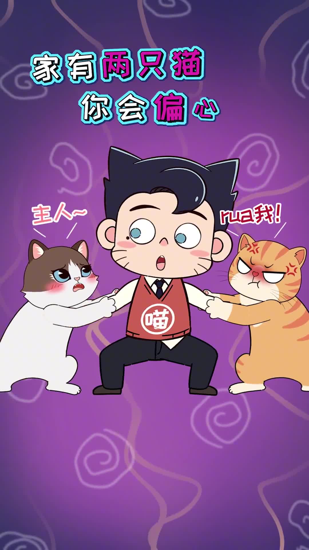 家有两只猫你会偏心吗