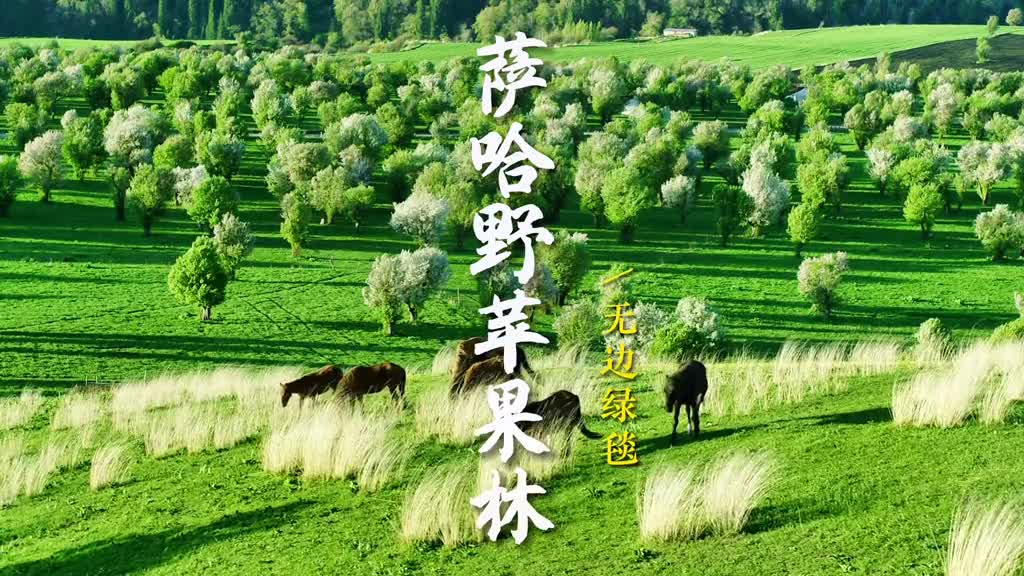 没有什么是过不去的坎要相信明天一定美好