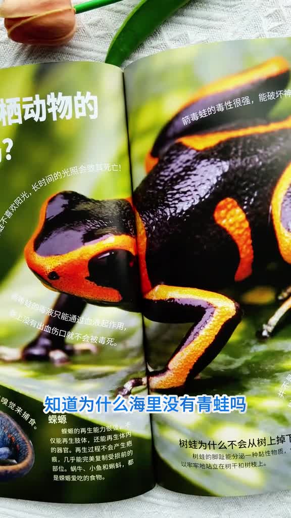 好奇少年儿童百科紧贴小学教材的