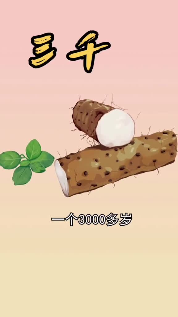 为什么现在的人都说山药而不说薯蓣