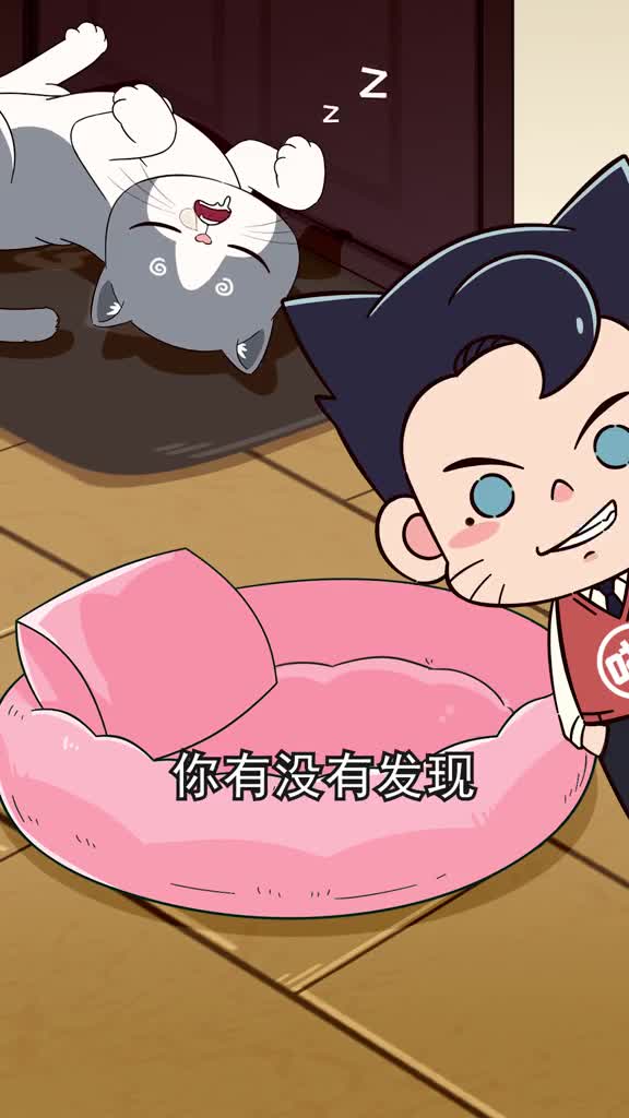 猫咪为什么除了猫窝哪都睡原因终于被我找到啦