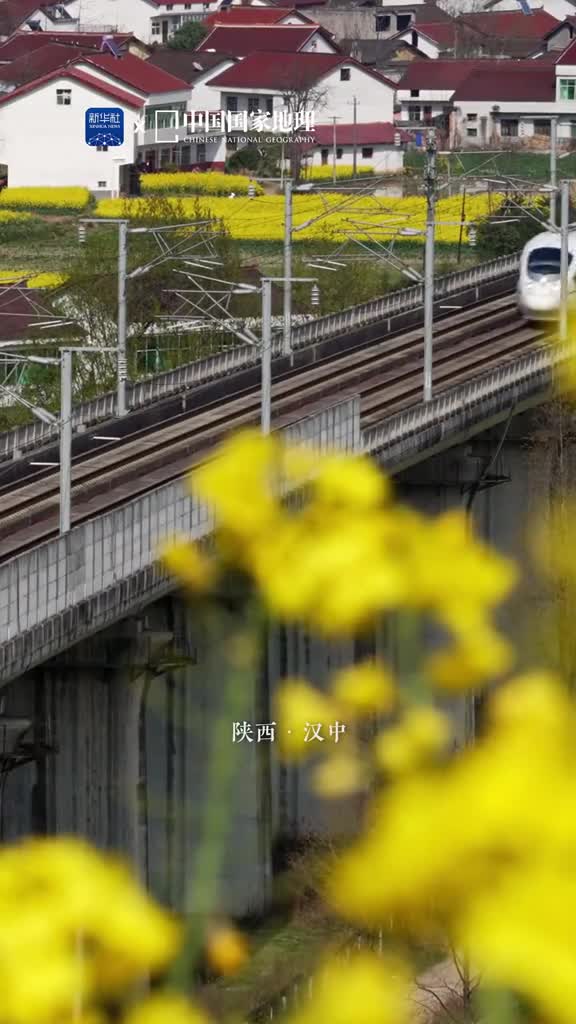 平野菜花春光好汉中市位于陕西省西南部在春暖花开的时节动车组列车穿行在金黄色的油菜花田中仿佛是诗篇中跃动的线条将现代科技与田园风光完美融合展现出人与自然和谐共生之美