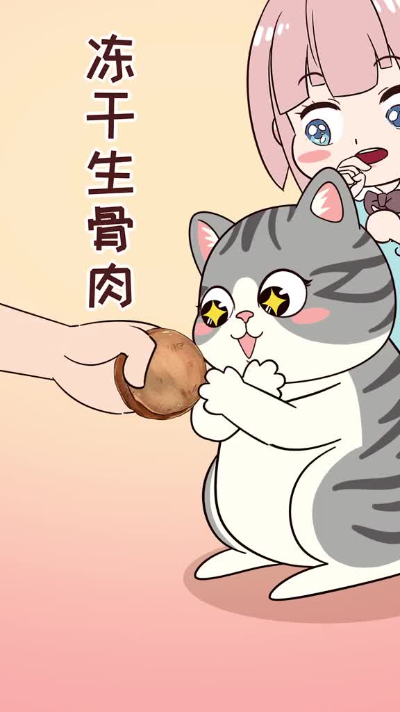 猫咪吃优质的冻干生骨肉有这4大好处你给猫咪喂过吗