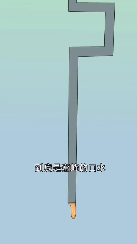 如果四叶草代表幸运那么蜂蜜代表甜蜜