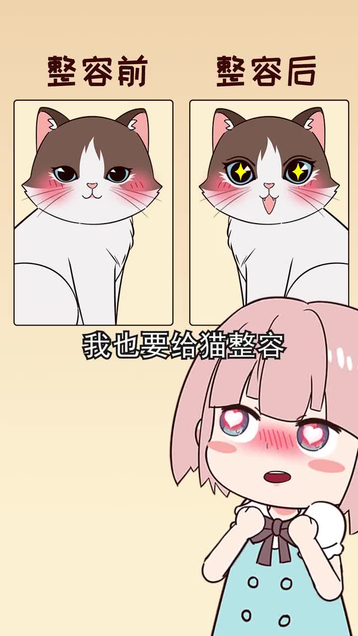 4种猫咪整容术害了猫你身边有人给猫做吗