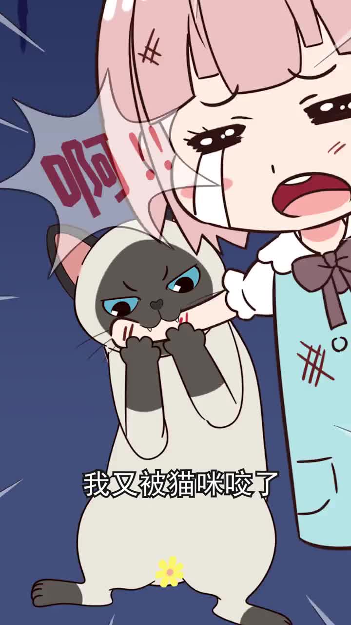 为什么你家猫咪总爱咬你要改掉这个坏习惯