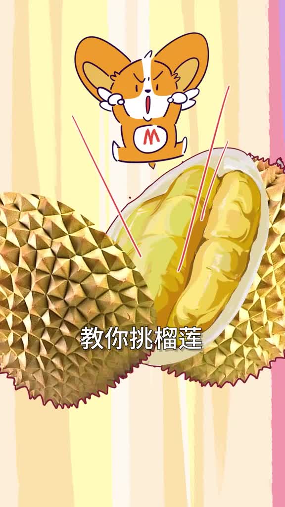 一分钟教你挑榴莲