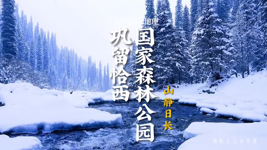 每一个不曾起舞的日子都是对生命的辜负