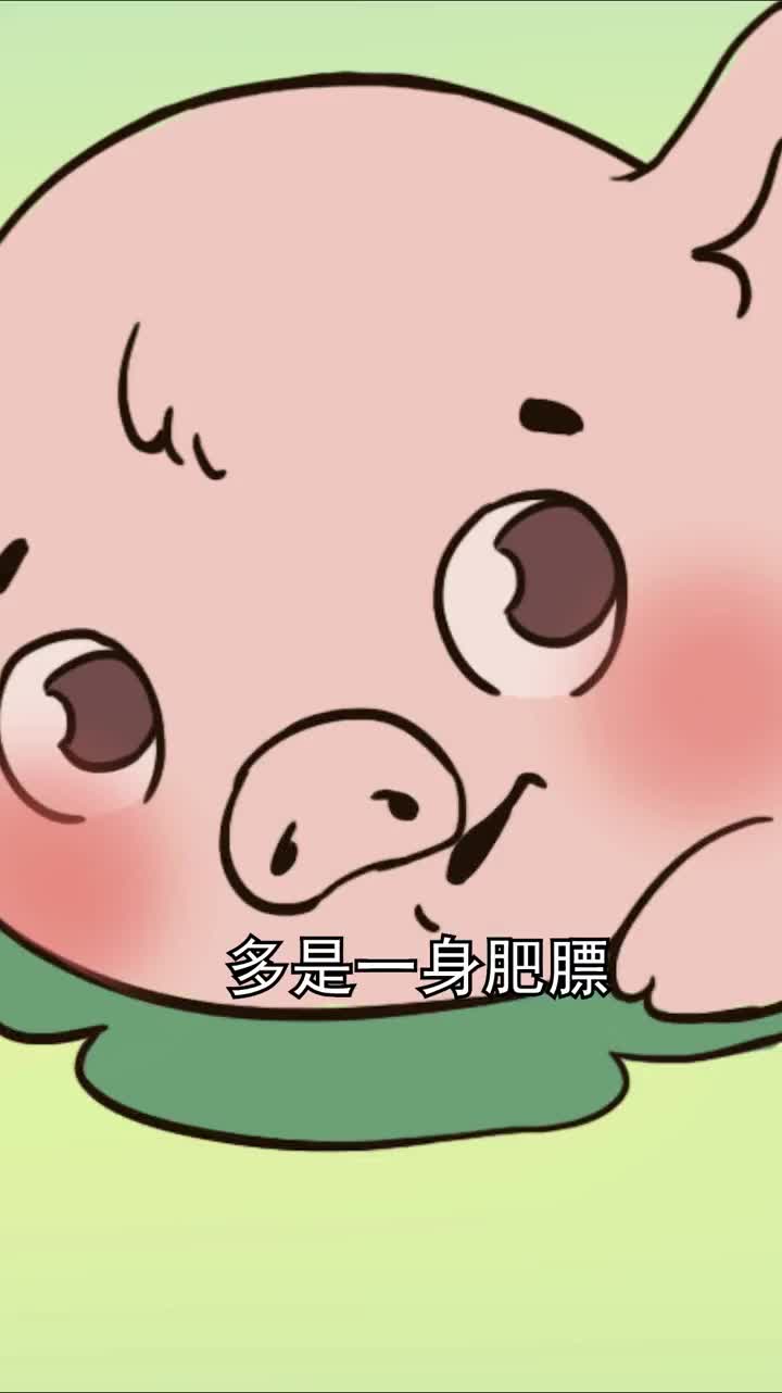 了解一下可爱的猪猪