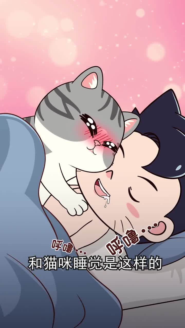 和猫咪一起睡觉有这些风险看看你中招了没