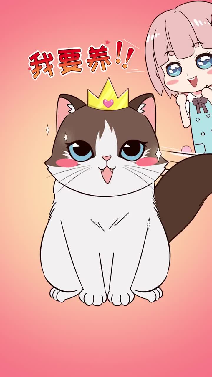 布偶猫颜值高一班人真养不起看完你还想养吗