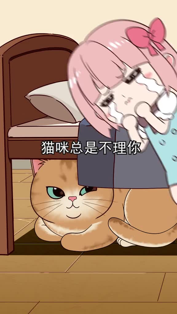 学会这6招能让猫咪随叫随到快去对主子试试吧