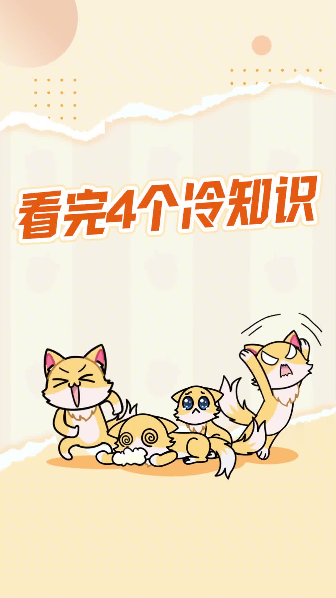 有猫的朋友快来评论区晒主子了