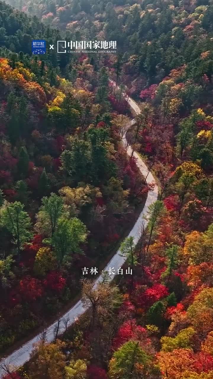 峰峦如聚天池如碧巍峨绮丽的长白山静静等待着赴约的人们在这里火山地貌与冰川遗迹同生共存在这里高山苔原与莽莽森林刚柔相济