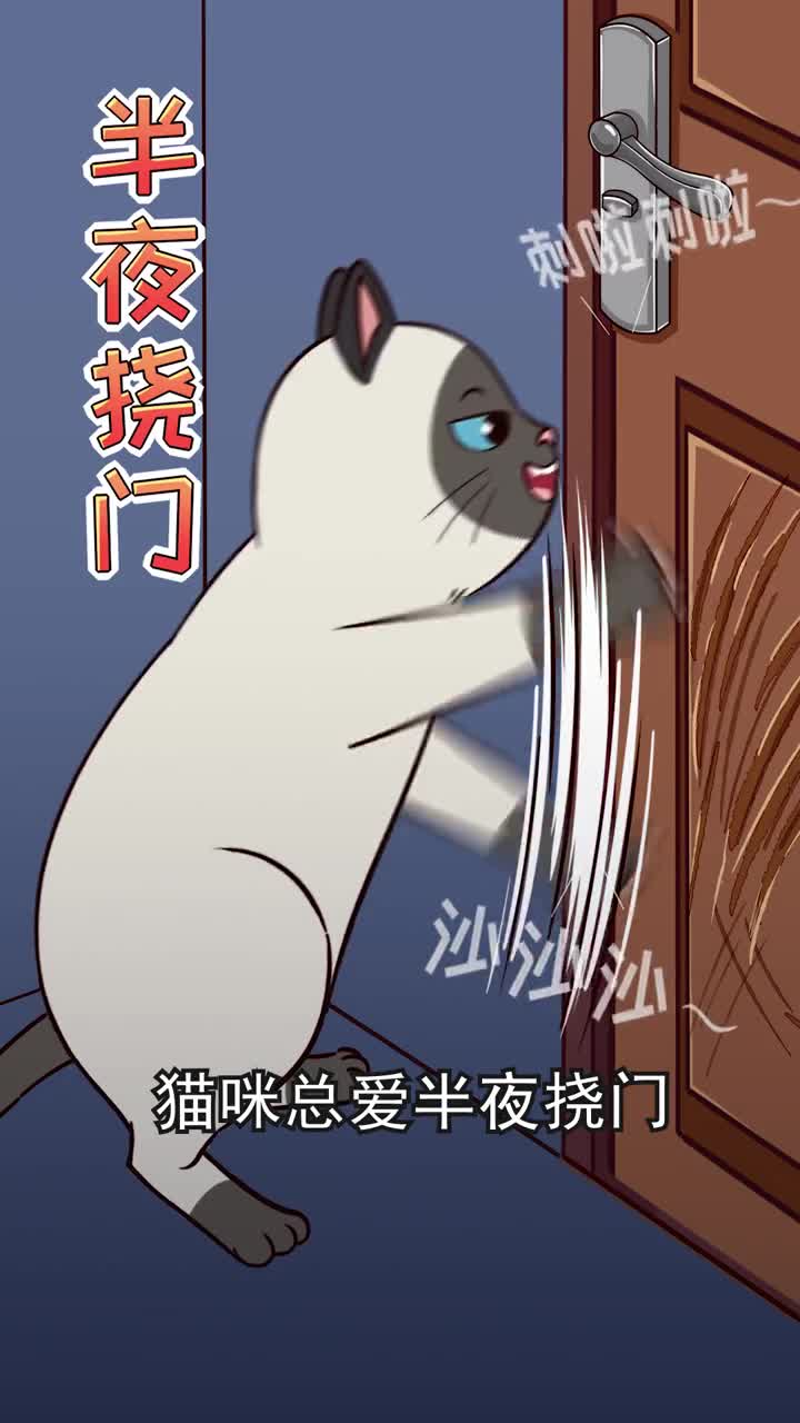 猫咪半夜疯狂挠门怎么办教你见招拆招