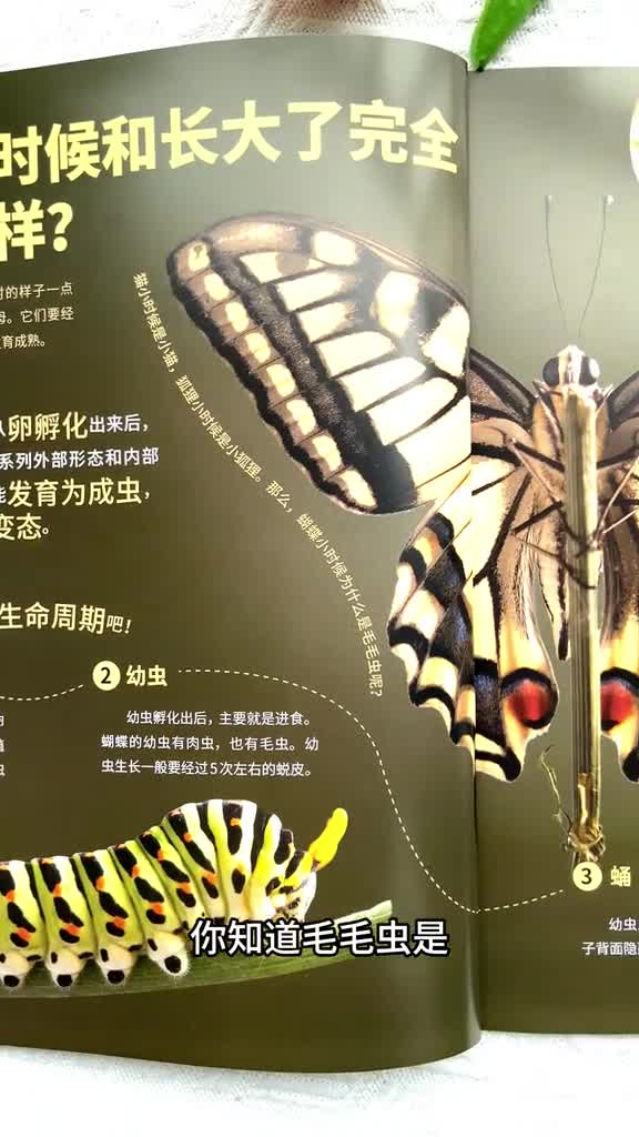 想从小带孩子增长知识的这套好奇少年少儿百科不要错过紧贴小学教材的科普书全套6个系列孩子一读就停不下来