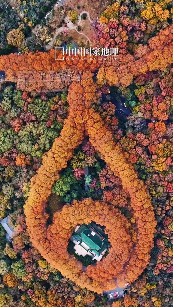 早安愿你知足常乐随遇而安今天是2024年11月21日甲辰年十月廿一星期四用心过好每一天再平凡的生活也是限量版早安愿你知足常乐随遇而安