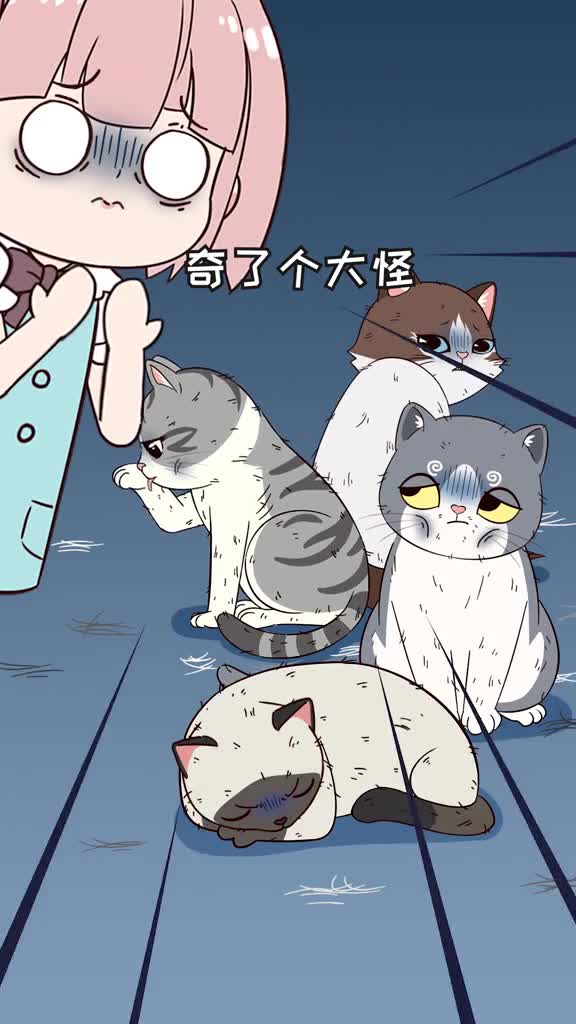 一到夏天猫咪就食欲差还变瘦教你几招让主子好好干饭